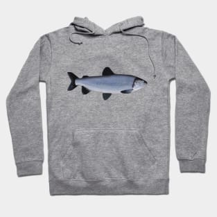 Broad whitefish Hoodie